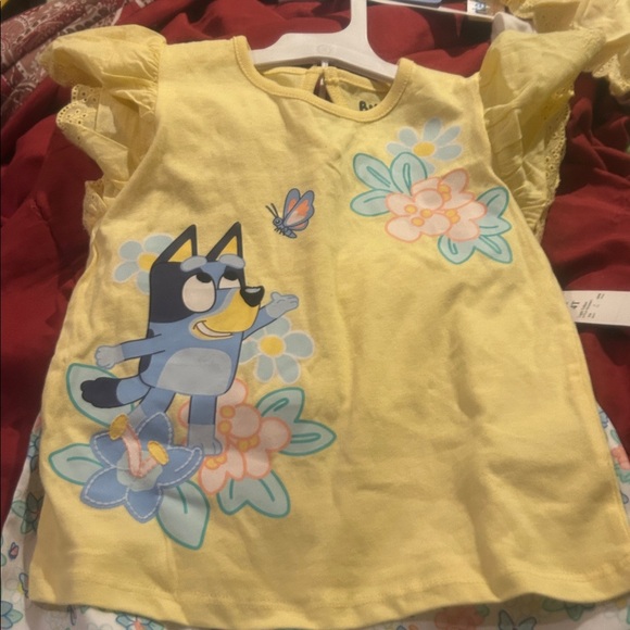 NWT Sz 4t bluey shortset - Picture 2 of 4